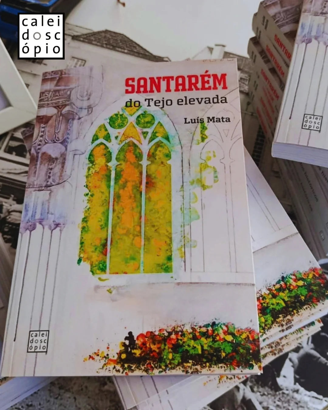 «Santarém: do Tejo elevada», de Luís Mata, apresentado na Casa do Brasil