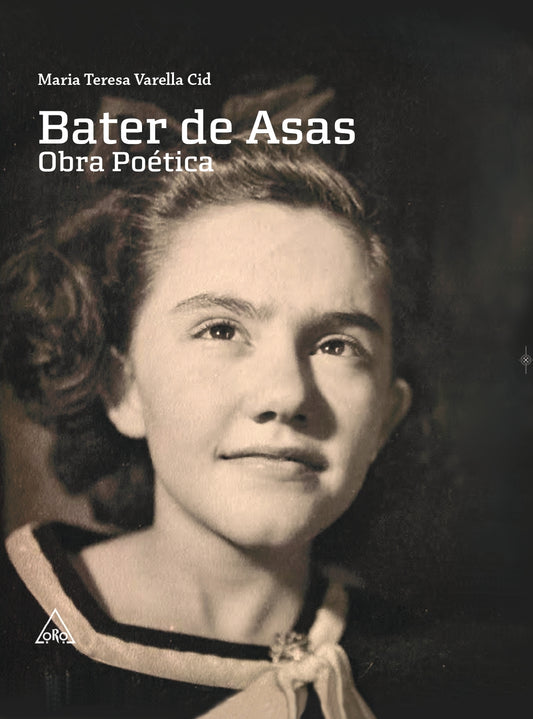 Bater de Asas