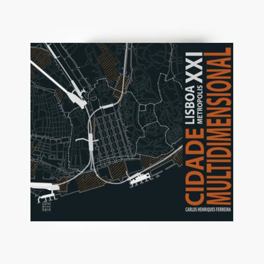 Cidade Multidimensional: Lisboa Metropolis XXI