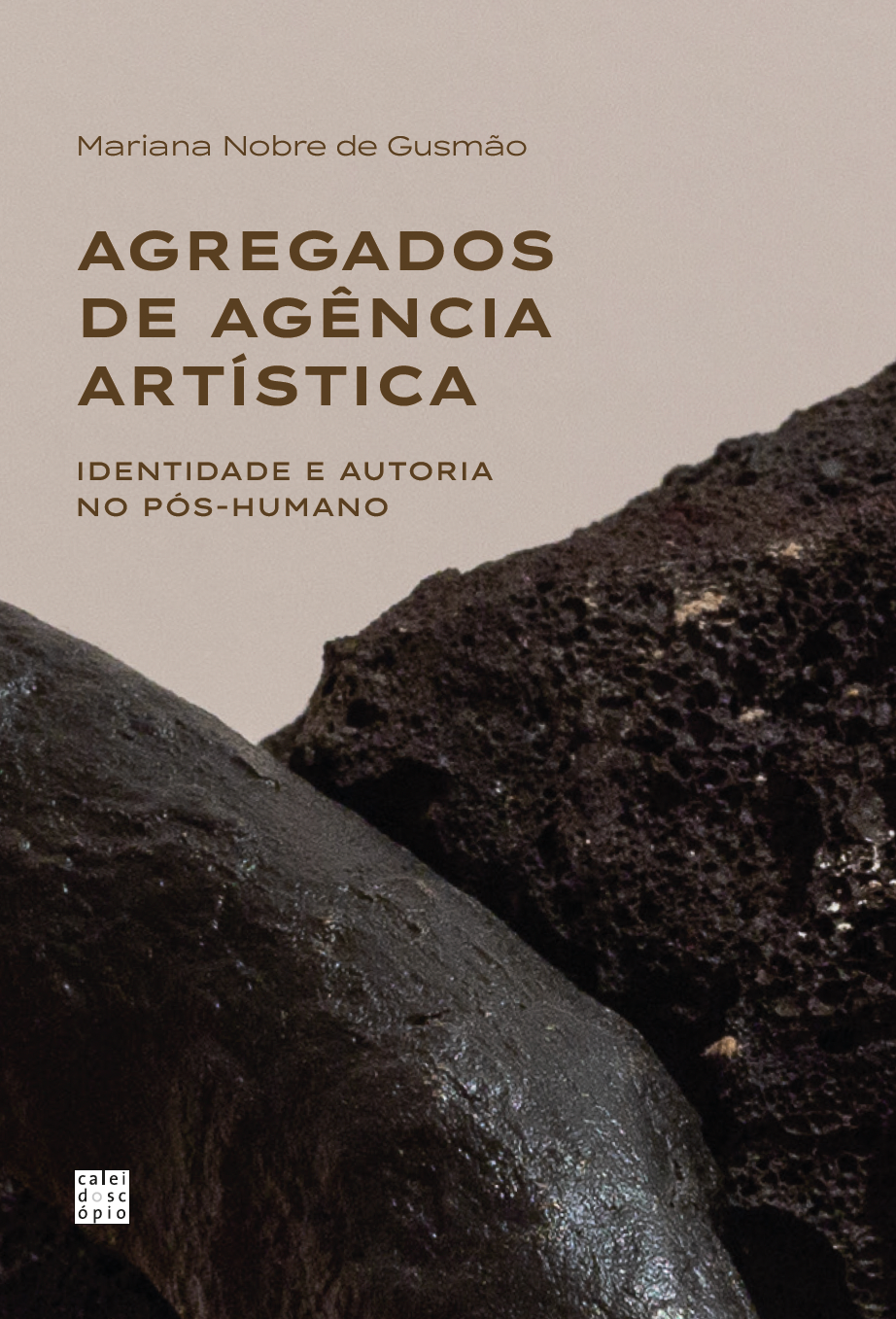 Agregados de Agência Artística: Identidade e Autoria no Pós-Humano