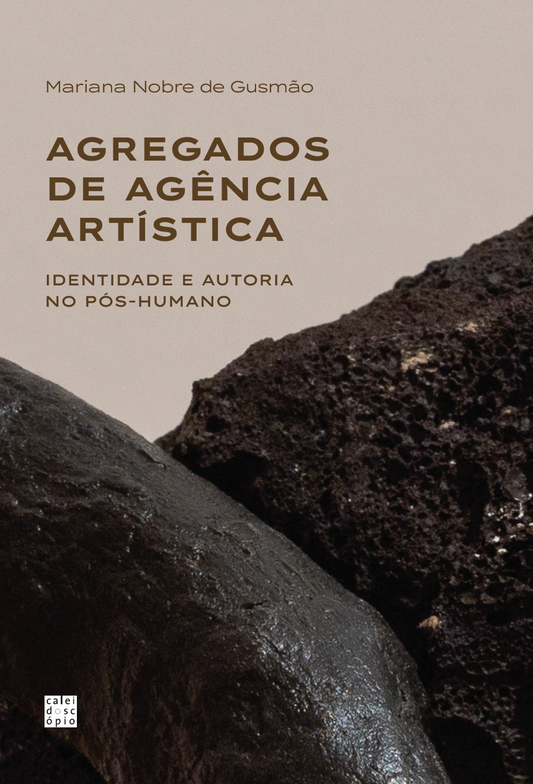 Agregados de Agência Artística: Identidade e Autoria no Pós-Humano