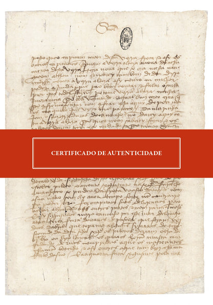 A el Rei nosso Senhor: Carta de Pero Vaz de Caminha