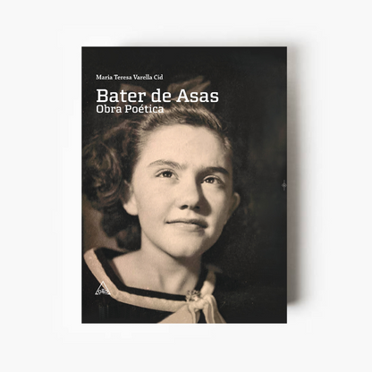 Bater de Asas